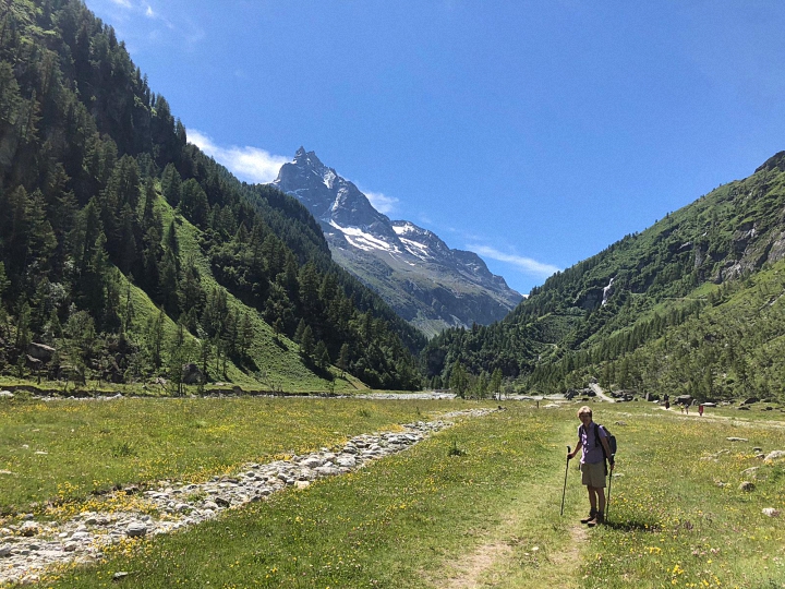 walking